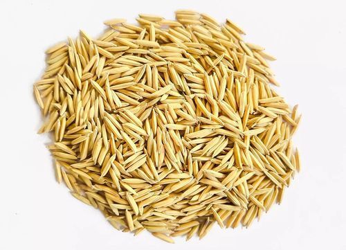 Light Brown Organic Extralong Thin Grains Pusa 1692 Paddy Seed  Admixture (%): 0%