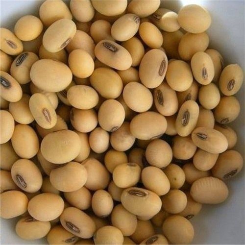 1 Kg Brown Food Grade Dried Hybrid Soya Bean Seeds