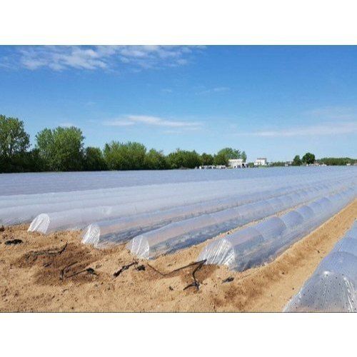 White Lightweight Protection Transparent Plastic Grow Best Low Tunnel Film