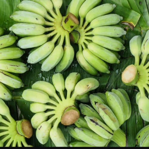 Long Shaped Green Colored Sweet In Taste Commonly Cultivated Green Banana