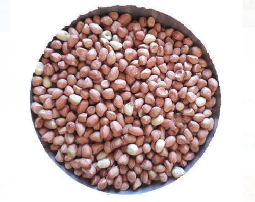 26 Gram Protein 100 Percent Natural Brown Color Round Shaped Peanuts 