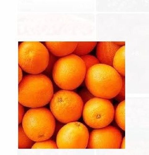 Common A Grade 100% Mature Sweet And Sour Taste Delicious Non-Glutinous Fresh Egypt Orange Fruit