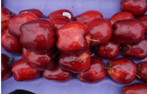 A Grade 100% Mature Sweet Taste Delicious Non-Glutinous Washington Red Apple Fruit