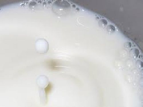 White Goods Source Of Vitamins And Calcium Nutrient-Rich Protein Cow Milk 