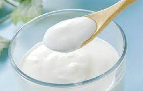 Healthy Rich In Vitamins Calcium And Protein Improve Digestion Curd