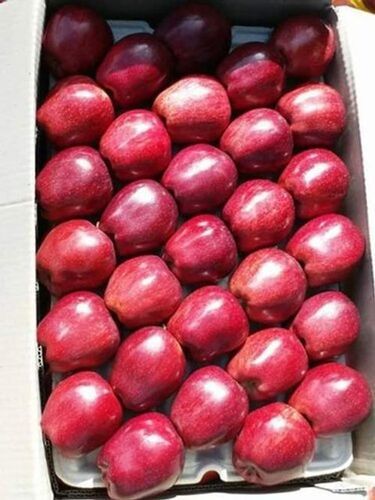 Red High In Nutrients Healthy Vitamin C Sweetness Crisp And Juicy Sweet Shimla Apple 