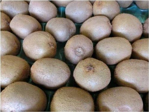 Brown Rich Nutritious Content Brownish Outer Skin Oval Shaped Fresh Kiwi Fruit 