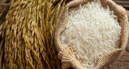 White Natural Long Grain Carbohydrate Rich Aromatic Non Basmati Rice Crop Year: 6 Months