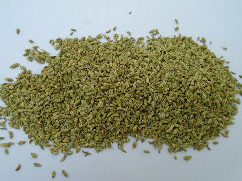  Green A Grade Dried Whole Raw Fennel Seeds