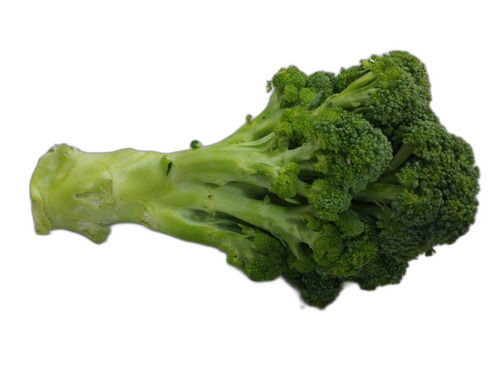 Excellent Source Of Vitamins Fiber And Protein Natural Fresh Green Broccoli