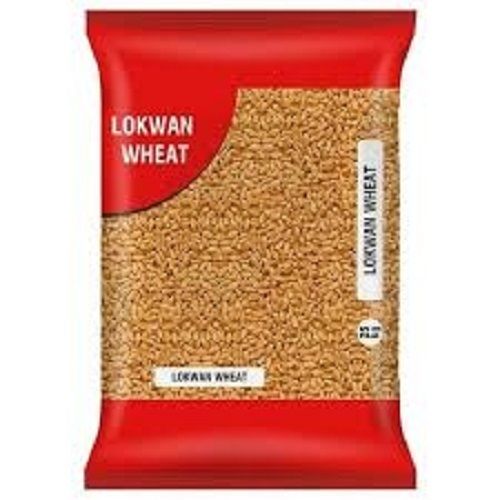 sharbati wheat