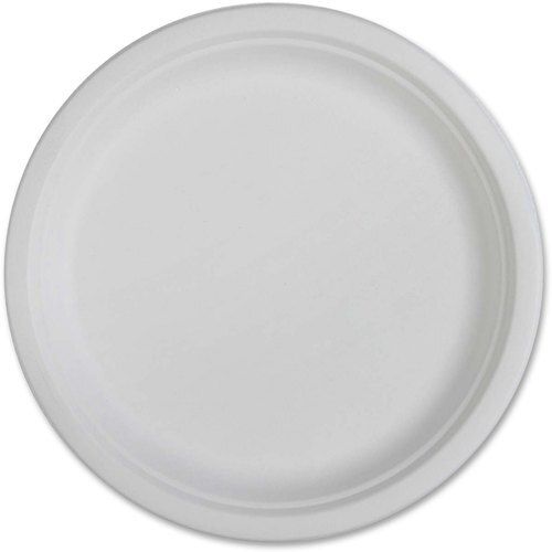 White 10-12 Inch Size Eco-Friendly Disposable Plastic Plate For Party And Events Use