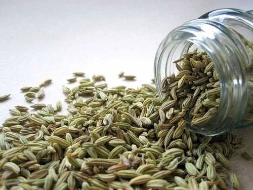 10 Kilogram Packaging For Spices Size A Grade Green Color Fennel Seeds