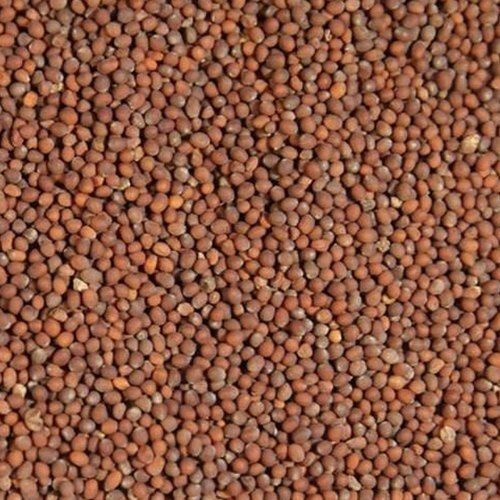 red millet