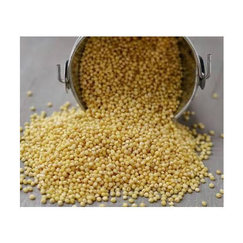 100% Fiber And Vitamins Healthy Tasty Naturally Grown Organic Foxtail Millet