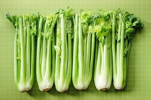 A Grade 99.8% Pure Farm Fresh Green Celery Seeds With 13.5% Moisture Admixture (%): 50.%