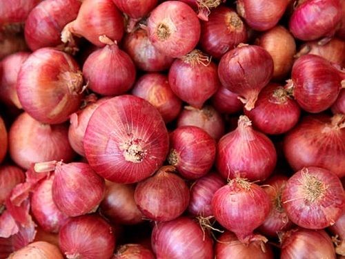 25 Kilogram Packaging Size Medium Size With 86 Percent Moisture Fresh Red Onion 