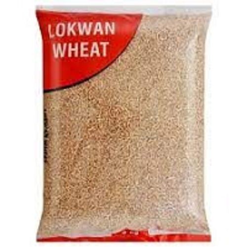 Common Cultivation Type Premium Quality Fresh Brown Lokwan Wheat