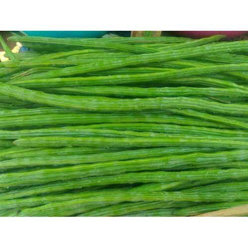 100 Percent Natural And Healthy Green Fresh Drumstick Moringa For Cooking  Moisture (%): 20