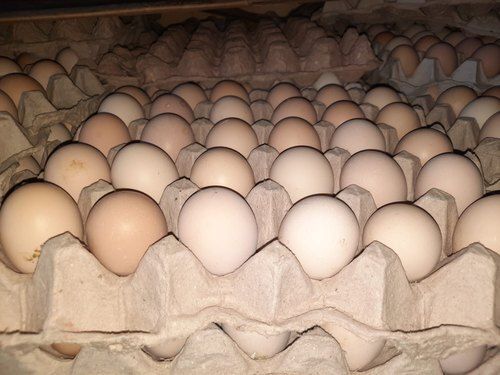 Fresh Low In Calories Healthy Highly Nutritious White And Brown Poultry Eggs