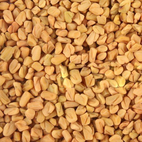 Hygienically Prepared Adulteration Free A Grade Dry Organic Yellow Fenugreek Seed