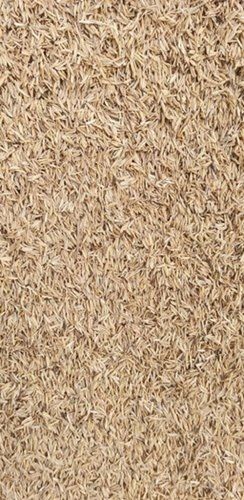 Natural And Hygienically Processed Rice Husk For Cattle Feed