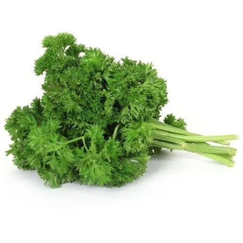 Natural And Organic Indian Super Green Parsley Leaves Vegetables