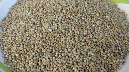 organic pearl millet