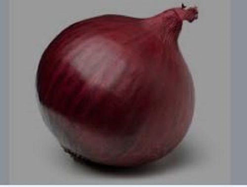 A Grade 100 Percent Mature Round Shape Delicious Non-Glutinous Fresh Onion