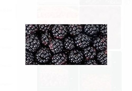 A Grade 100 Percent Mature Sweet In Taste Delicious Non-Glutinous Black Grapes