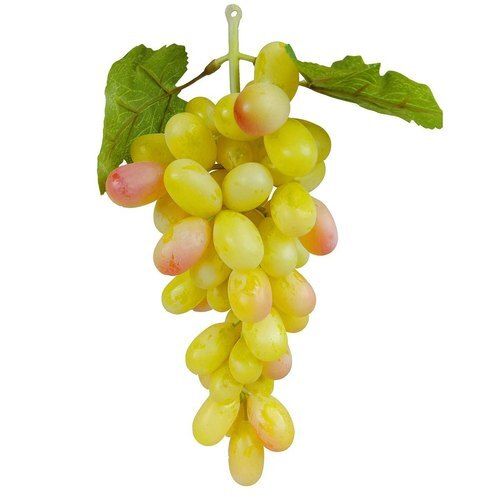 Rich In Vitamins Enriched Naturally Grown Healthy And Tasty Fresh Green Grapes