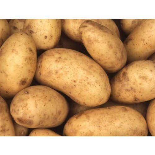  Farm Fresh Indian Origin Naturally Grown Raw Brown Potato