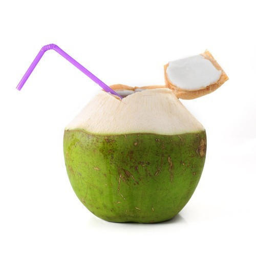  Good Source Of Several Nutrients And Delicious Source Of Hydration Green Coconut 