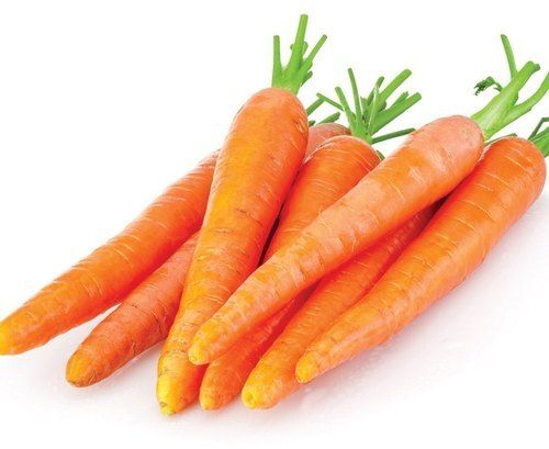 Round Orange Nartural Pure And Delicious Tasty Fresh Carrot For Cooking Multiple Dishes 