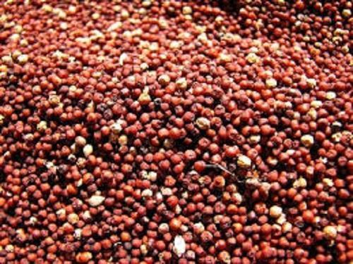 100 Percent Healthy And Natural Dried Brown Finger Millet Food For Snacks Shelf Life: 6 Months