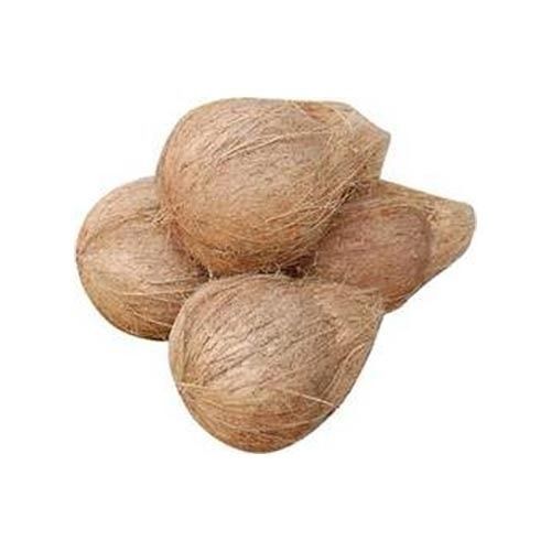 Healthy Farm Fresh Indian Origin Naturally Grown Vitamins Rich Pure Dry Coconut 
