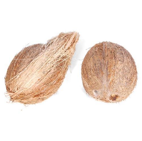 Naturally Taste Grown Healthy Vitamins Minerals Fiber Rich And Farm Fresh Pure Dry Coconut