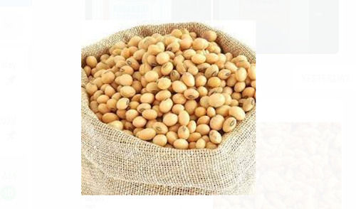 Pack Of 50 Kilogram Common Cultivated Dried Beige Soya Bean