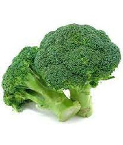 Vitamin K And Calcium Nutrients Strong Healthy Phosphorus Zinc Green Broccoli 