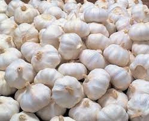 100% Pure And Natural Fresh Whole Garlic With Three Months Shelf Life