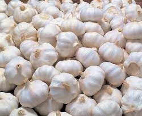 100% Pure And Natural Fresh Whole Garlic With Three Months Shelf Life Moisture (%): 99%