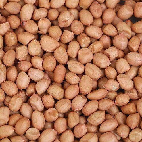Nutri Hub Protein Healthy And Tasty Nutritious Organic Peanut Seed
