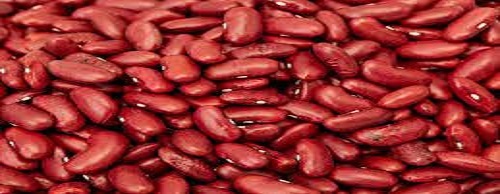 High In Protein Gluten Free Red Kidney Beans