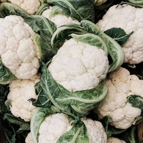 1 Kilogram Packaging Size 94 Percent Moisture Green And White Cauliflower 