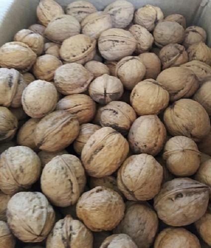 Delicious And Impurity Free Highly Pure And Natural Walnut  Broken (%): 0.3