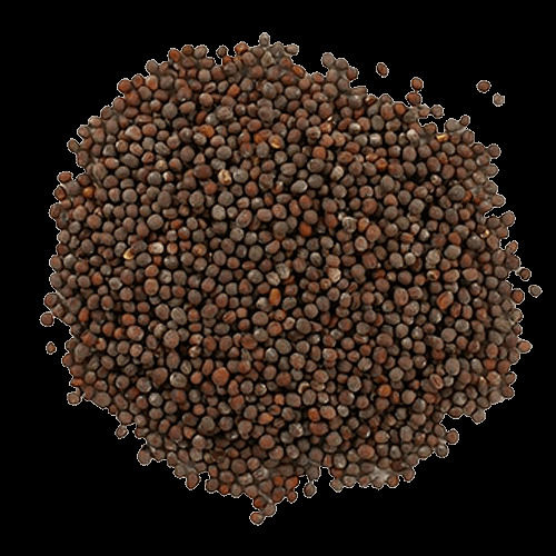 Brown 3 To 4 Years Shelf Life Food Grade Dried And 99.9% Pure Organic Mustard Seeds 