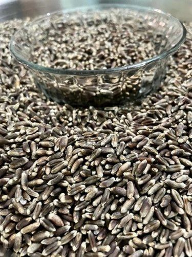 100% Pure 12% Moisture Oval Shape Dried Black Grain 