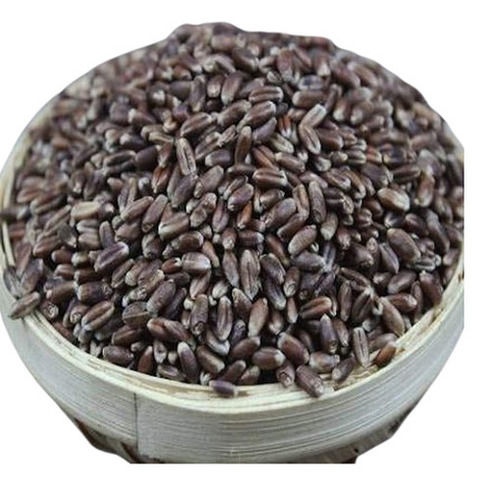 100% Pure Oval Shape 12% Moisture Dried Black Grain 