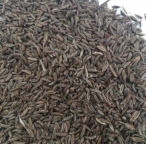 Common 4.37% Ash 4.64% Moisture 100 % Pure A Grade Dried Black Cumin Seeds 