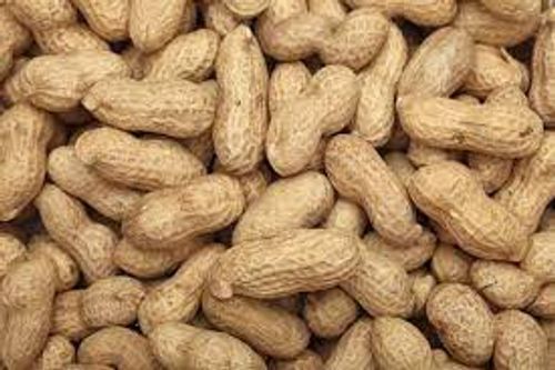 A Good Source Of Dietary Protein Unpolished Raw Peanuts/Groundnuts With Shell, 1kg
